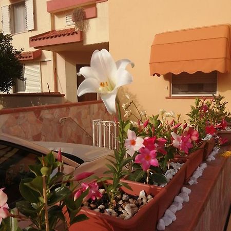 Hotel Domomea Quartu SantʼElena Esterno foto